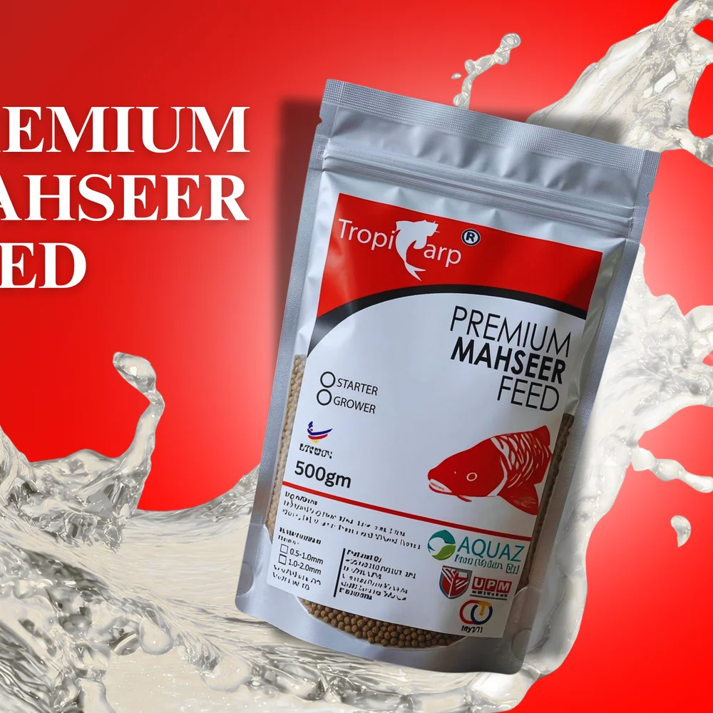 Feed Tumbesaran Mahseer